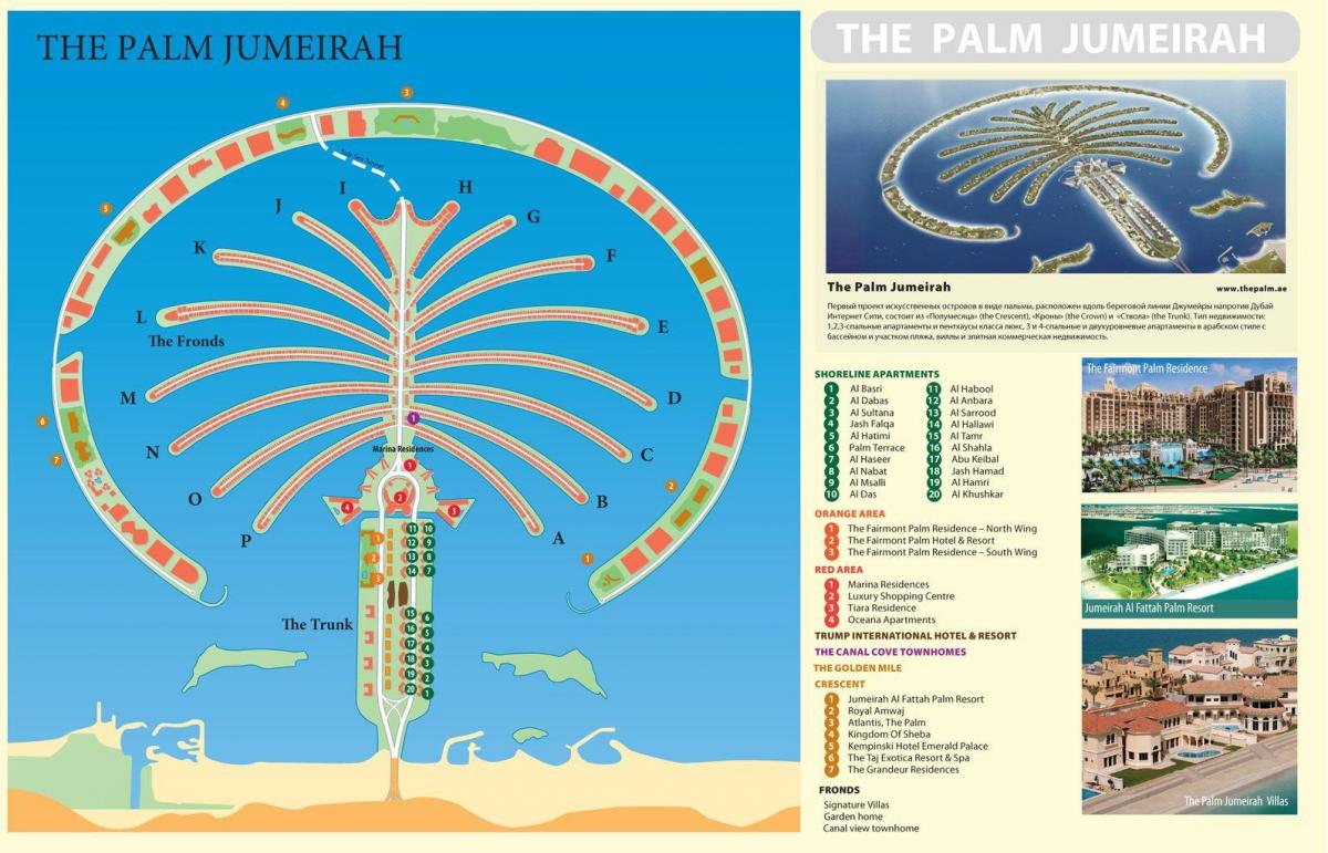 peta Palm Jumeirah Dubai